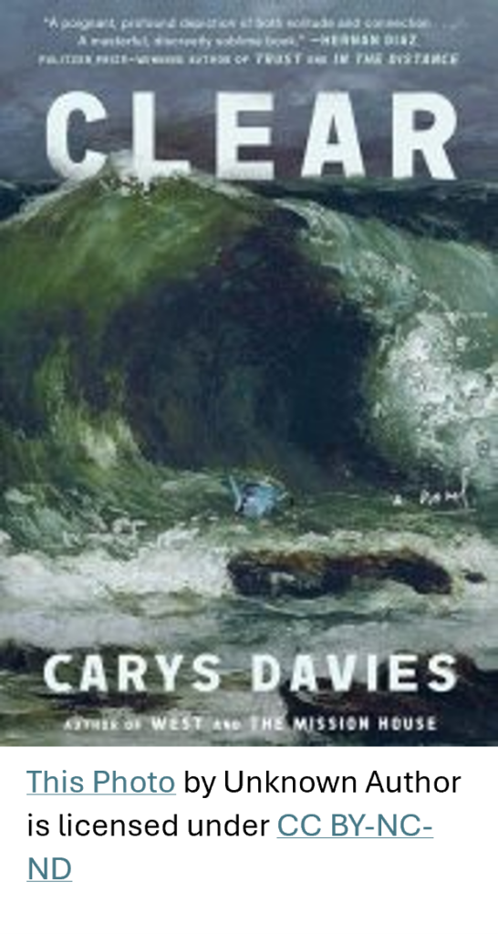 Front Cover of Clear by Carys Davies